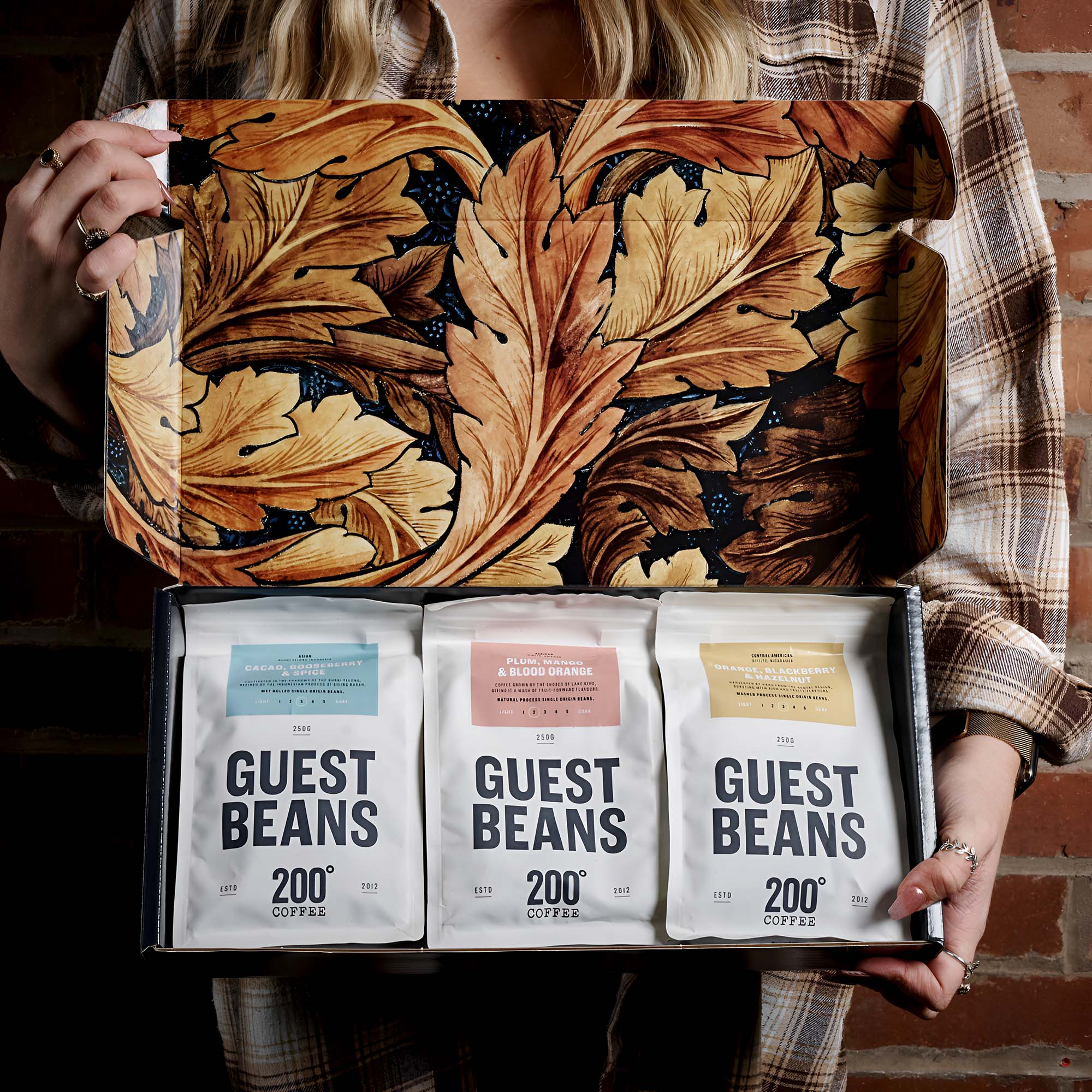 200 Guest Beans Packaging