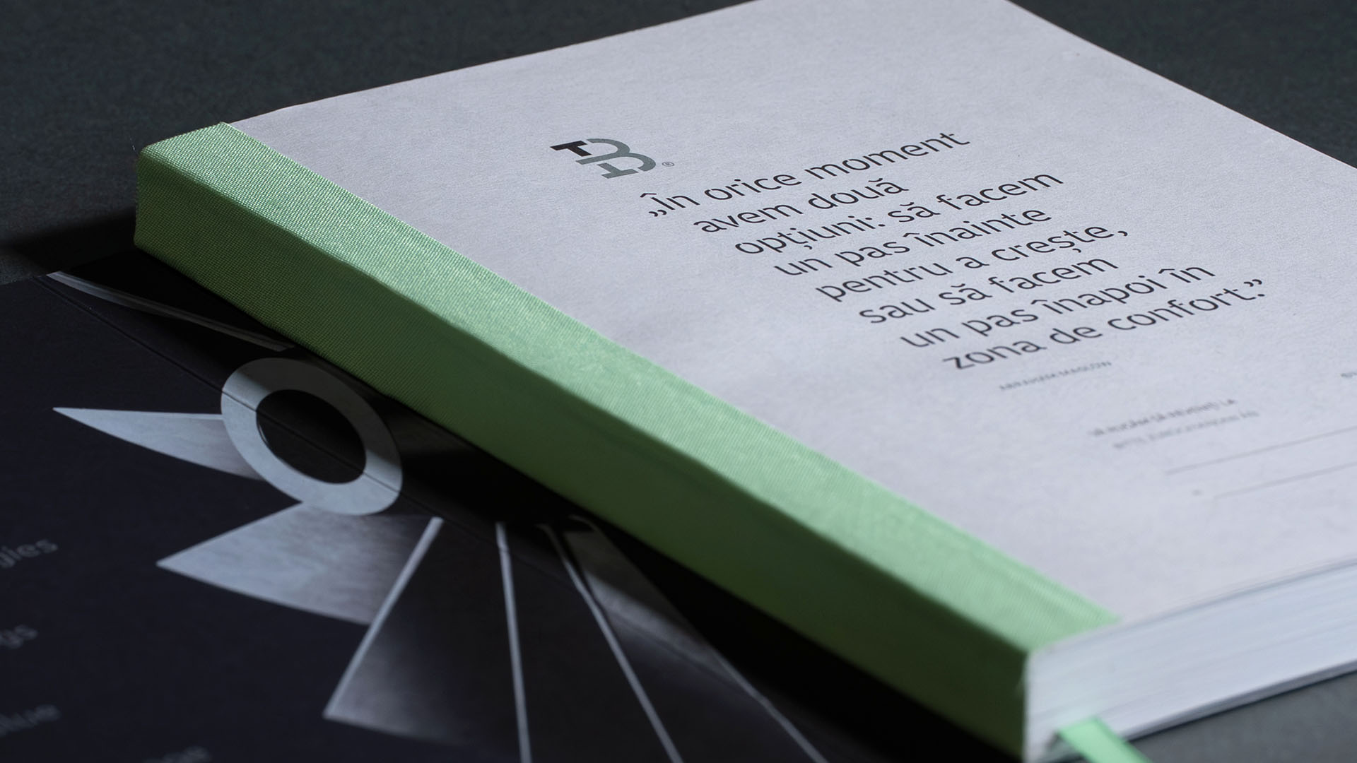 Texmo Blank Book 2